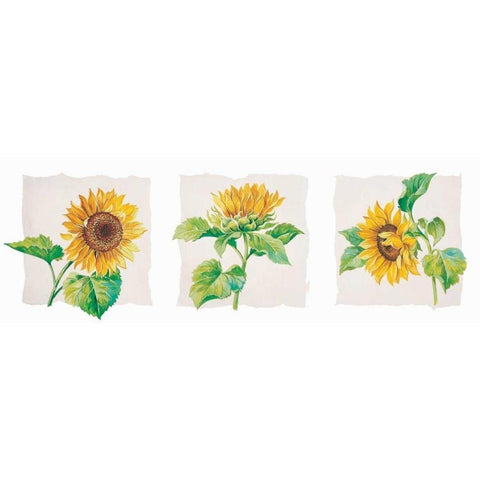 Sunflower triptych White Modern Wood Framed Art Print by Kumorek, Krysztov