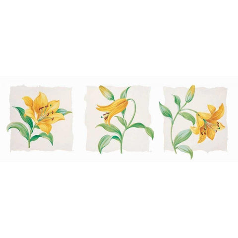Yellow lily triptych Gold Ornate Wood Framed Art Print with Double Matting by Kumorek, Krysztov