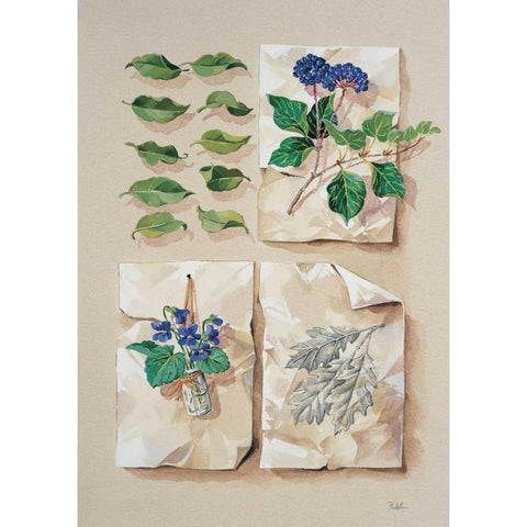 Forest collection II Black Modern Wood Framed Art Print by Kumorek, Krysztov