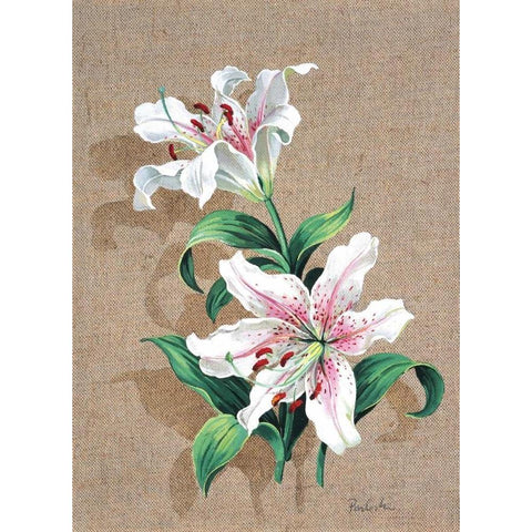 A canvas for 2 Black Modern Wood Framed Art Print with Double Matting by Kumorek, Krysztov