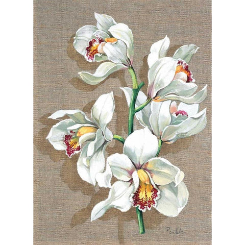 Pretty floral I Black Modern Wood Framed Art Print by Kumorek, Krysztov