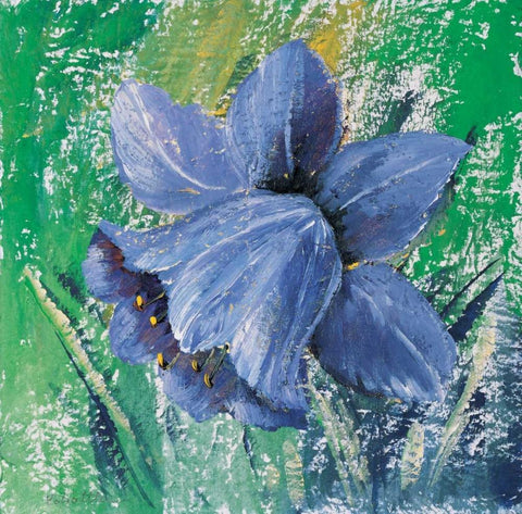 Purple calyx White Modern Wood Framed Art Print with Double Matting by Schottler, Katharina