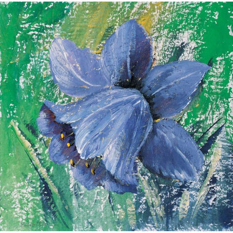 Purple calyx White Modern Wood Framed Art Print by Schottler, Katharina