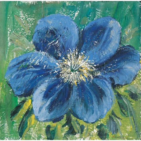 Meconopsis White Modern Wood Framed Art Print by Schottler, Katharina