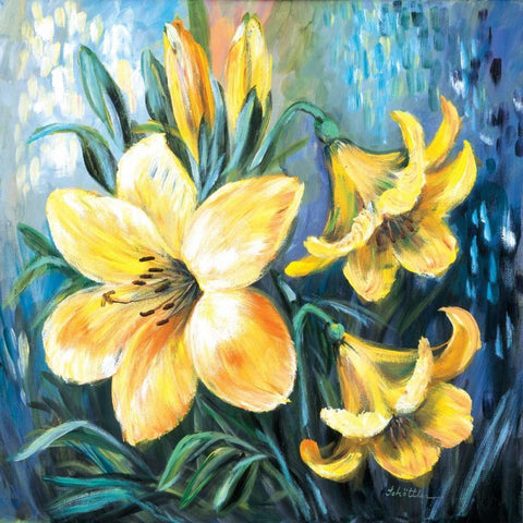 Yellow lilies in Spring White Modern Wood Framed Art Print with Double Matting by Schottler, Katharina