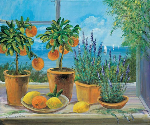 Creative compliments White Modern Wood Framed Art Print with Double Matting by Schottler, Katharina