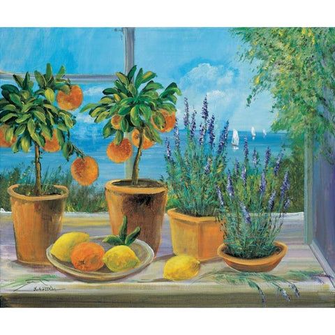 Creative compliments Black Modern Wood Framed Art Print with Double Matting by Schottler, Katharina