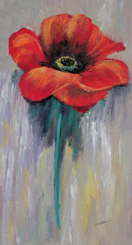 Red poppy II Black Ornate Wood Framed Art Print with Double Matting by Schottler, Katharina