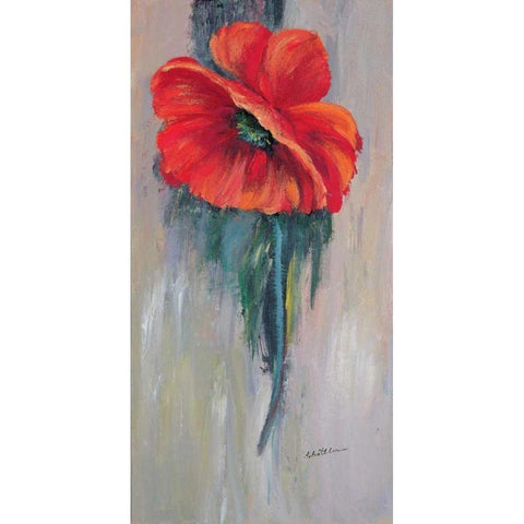 Red poppy III Black Modern Wood Framed Art Print with Double Matting by Schottler, Katharina