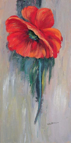 Red poppy III White Modern Wood Framed Art Print with Double Matting by Schottler, Katharina