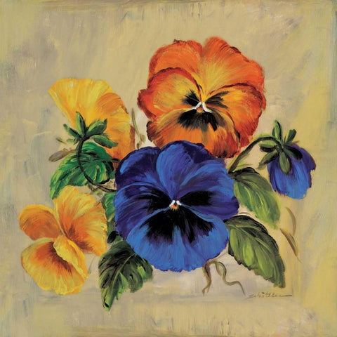 Colourful pansies Black Modern Wood Framed Art Print by Schottler, Katharina