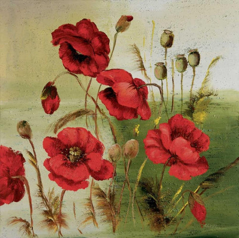 Red poppies composition I White Modern Wood Framed Art Print with Double Matting by Schottler, Katharina