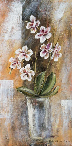 Botanical lV White Modern Wood Framed Art Print with Double Matting by Schottler, Katharina