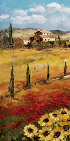 Italy Sunflower I Black Ornate Wood Framed Art Print with Double Matting by Schottler, Katharina