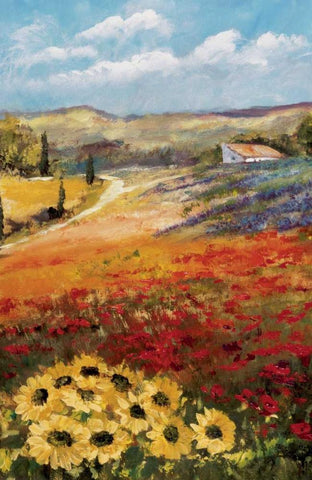 Italy sunflower II White Modern Wood Framed Art Print with Double Matting by Schottler, Katharina