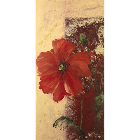 Redfloral I Black Modern Wood Framed Art Print with Double Matting by Schottler, Katharina