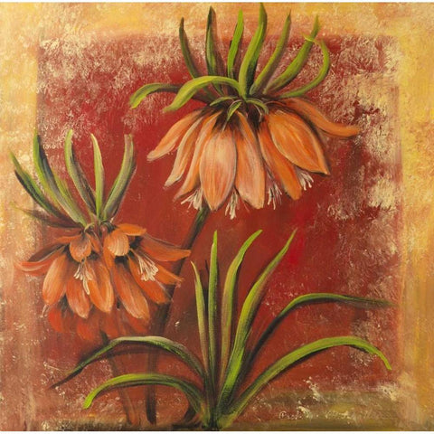 Imago I Black Modern Wood Framed Art Print by Schottler, Katharina