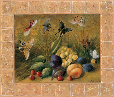 Fruits and papillons Black Ornate Wood Framed Art Print with Double Matting by du Ciel, Milieu