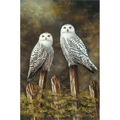 Two Owls Black Modern Wood Framed Art Print by Schutte, Michel