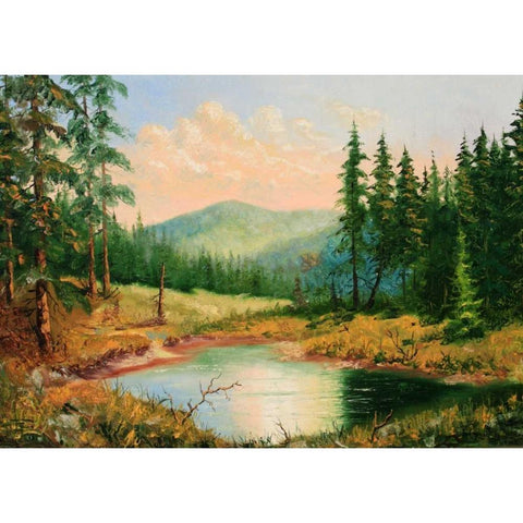 Gornoe Ozero White Modern Wood Framed Art Print by Vlagyislav, Najgyonov