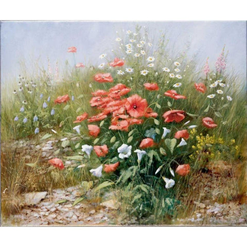Poppies and friends White Modern Wood Framed Art Print by Motz, Peter