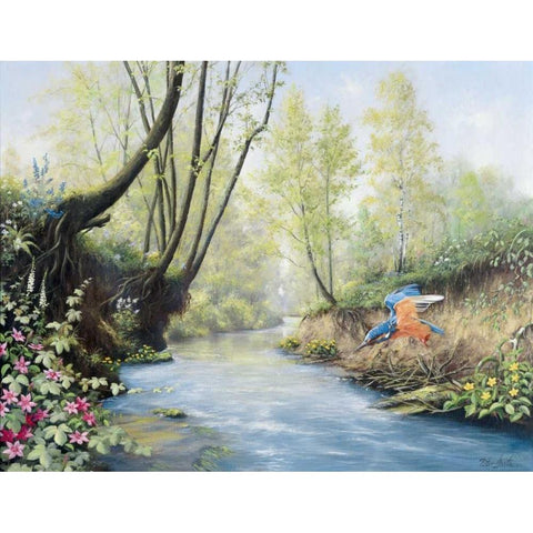 Kingfisher White Modern Wood Framed Art Print by Motz, Peter