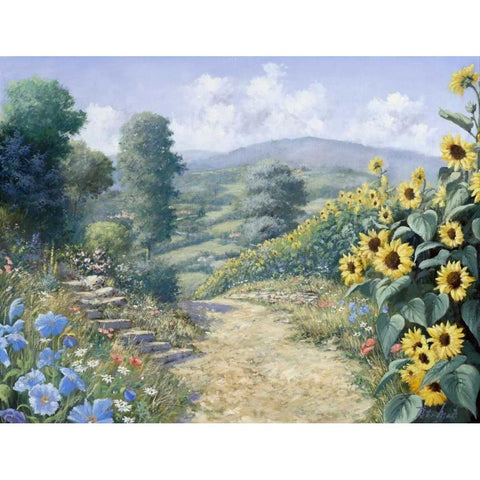 Along the sunflowers White Modern Wood Framed Art Print by Motz, Peter