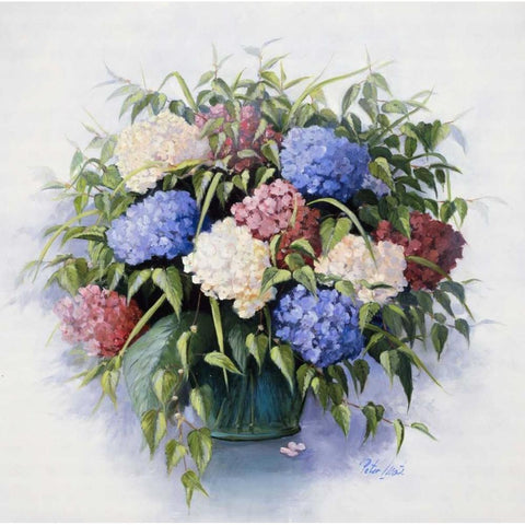 Mixed Hydrangia Black Modern Wood Framed Art Print by Motz, Peter