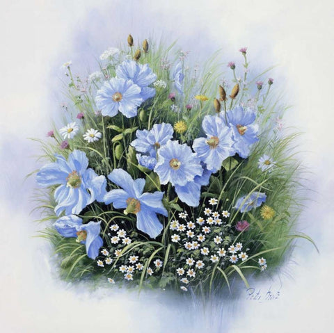 Blue flowers Black Ornate Wood Framed Art Print with Double Matting by Motz, Peter