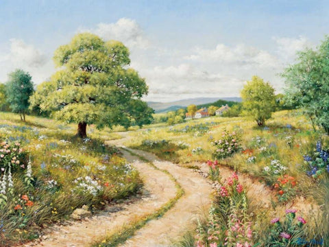 A path to peace White Modern Wood Framed Art Print with Double Matting by Motz, Peter