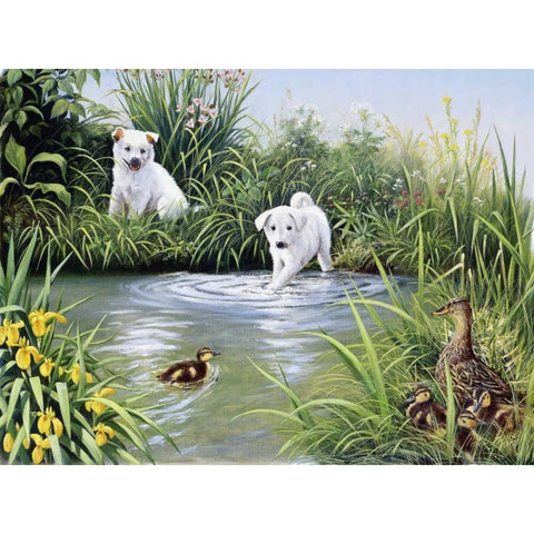 Dog challenge Black Modern Wood Framed Art Print with Double Matting by Motz, Peter