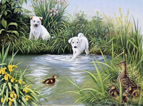 Dog challenge Black Ornate Wood Framed Art Print with Double Matting by Motz, Peter