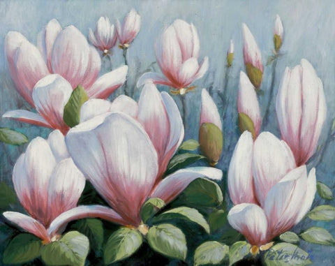 Beauty of silence White Modern Wood Framed Art Print with Double Matting by Motz, Peter