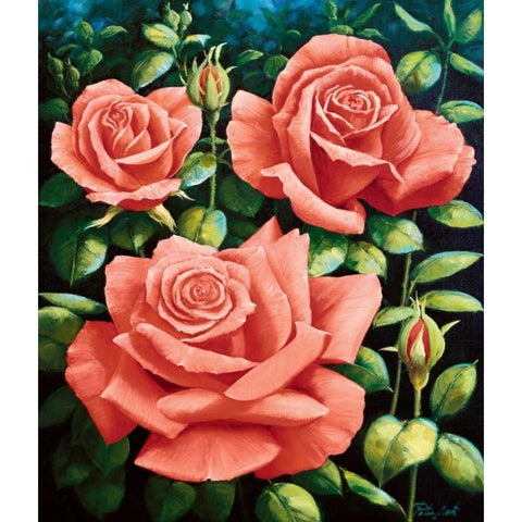 Roses Black Modern Wood Framed Art Print by Motz, Peter