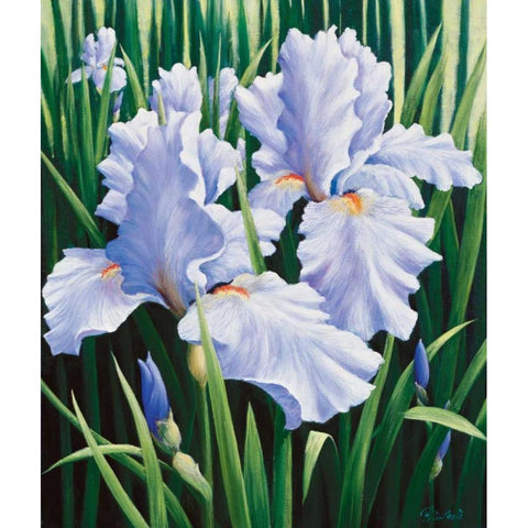 Purple White Modern Wood Framed Art Print by Motz, Peter