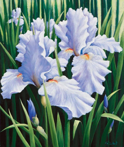 Purple White Modern Wood Framed Art Print with Double Matting by Motz, Peter