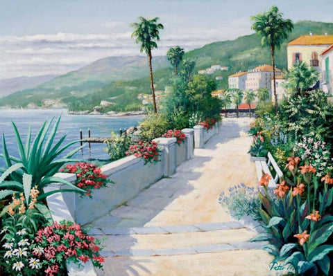 Costa del Pietro I Black Ornate Wood Framed Art Print with Double Matting by Motz, Peter