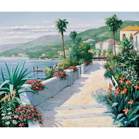 Costa del Pietro I Gold Ornate Wood Framed Art Print with Double Matting by Motz, Peter