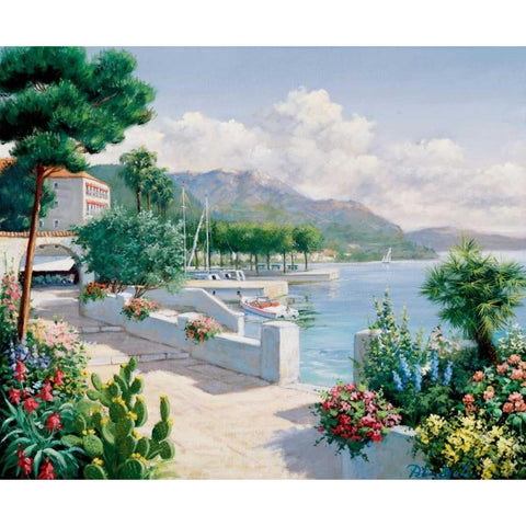 Costa del Pietro II Black Modern Wood Framed Art Print by Motz, Peter