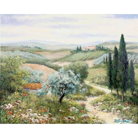 Italy II Black Modern Wood Framed Art Print by Motz, Peter