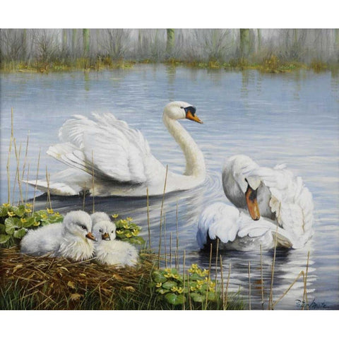 Swans Gold Ornate Wood Framed Art Print with Double Matting by Motz, Peter