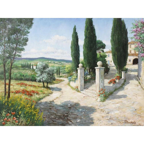 Tuscany house Black Modern Wood Framed Art Print by Motz, Peter