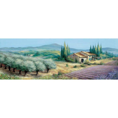 Provence II White Modern Wood Framed Art Print by Withaar, Reint
