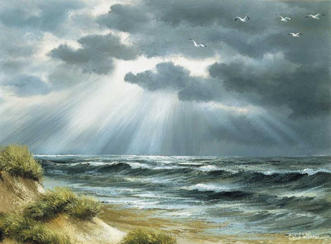 The sea Black Ornate Wood Framed Art Print with Double Matting by Withaar, Reint