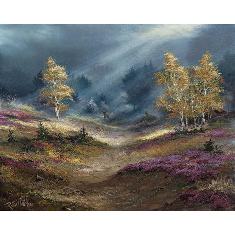 The deer noticed us Black Modern Wood Framed Art Print by Withaar, Reint