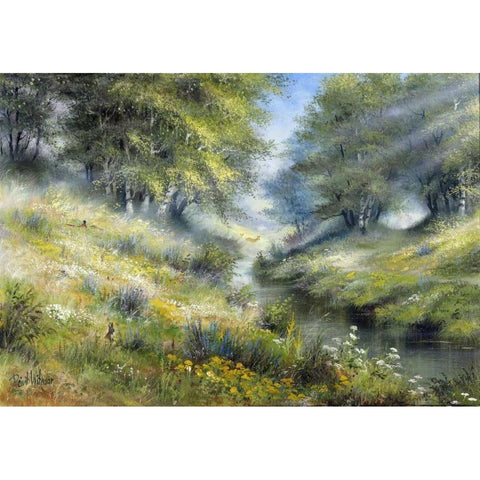 Early morning White Modern Wood Framed Art Print by Withaar, Reint