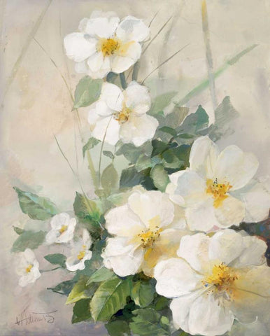 Lovely anemones White Modern Wood Framed Art Print with Double Matting by Haenraets, Willem