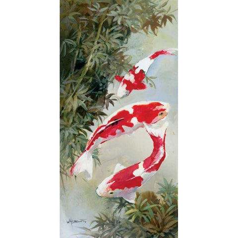 Koi 1 White Modern Wood Framed Art Print by Haenraets, Willem