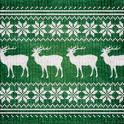 GREEN NORDIC SWEATER I White Modern Wood Framed Art Print with Double Matting by Artique Studio