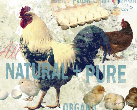 NATURAL AND PURE Black Ornate Wood Framed Art Print with Double Matting by Yang, Eric